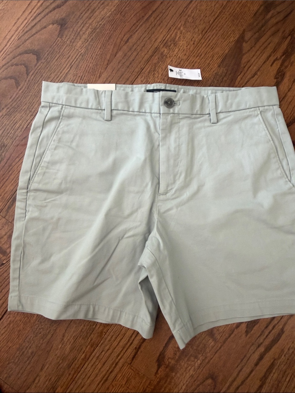 Banana Republic Men's Light Sage Casual Chino Shorts